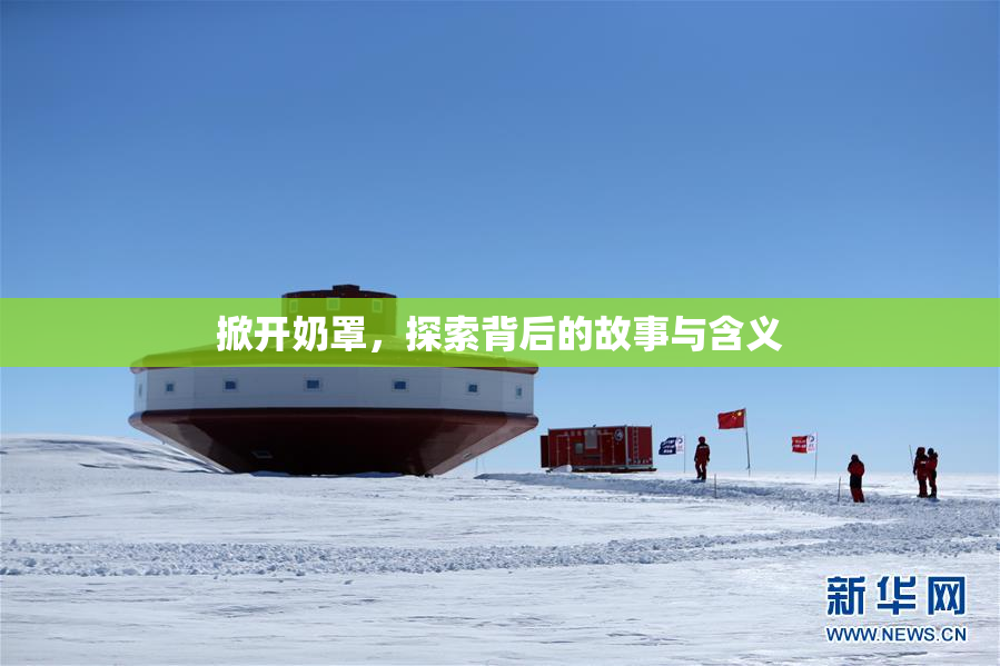 掀开奶罩，探索背后的故事与含义