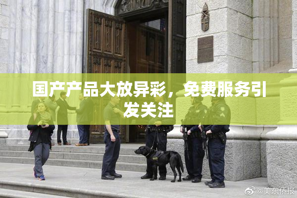 国产产品大放异彩，免费服务引发关注
