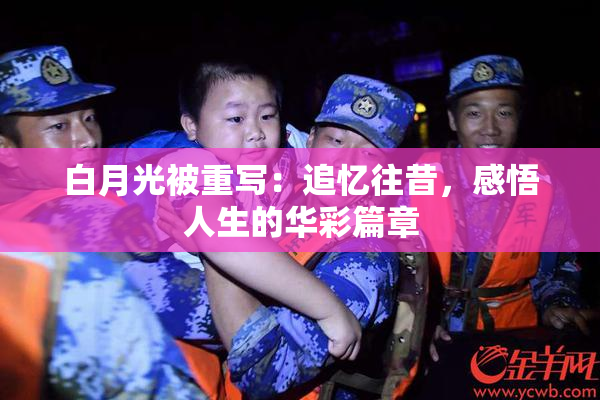 白月光被重写：追忆往昔，感悟人生的华彩篇章