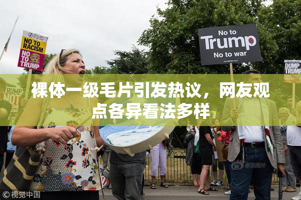 裸体一级毛片引发热议，网友观点各异看法多样