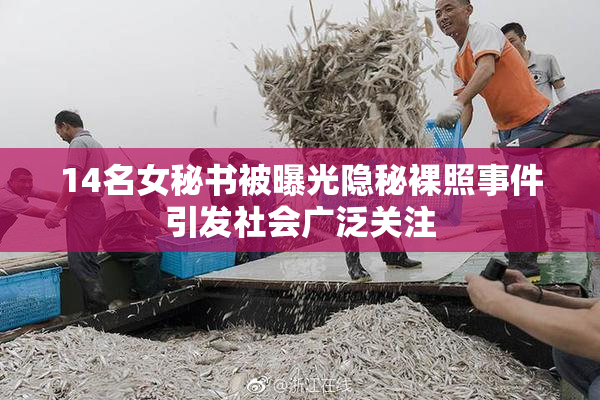 14名女秘书被曝光隐秘裸照事件引发社会广泛关注