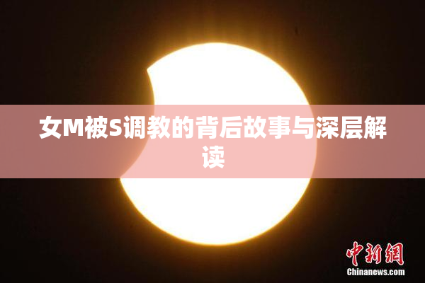 女M被S调教的背后故事与深层解读