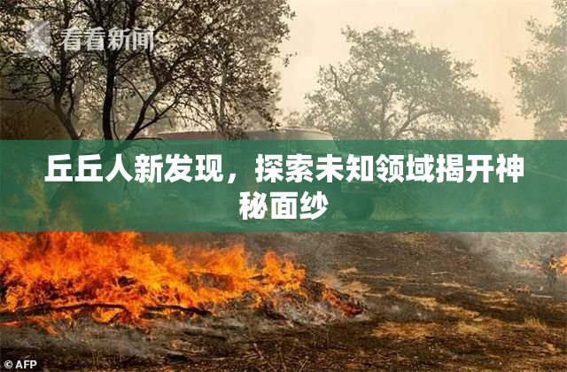 丘丘人新发现，探索未知领域揭开神秘面纱