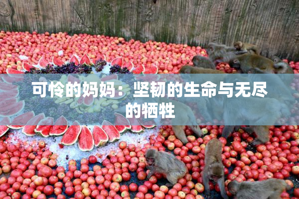 可怜的妈妈：坚韧的生命与无尽的牺牲