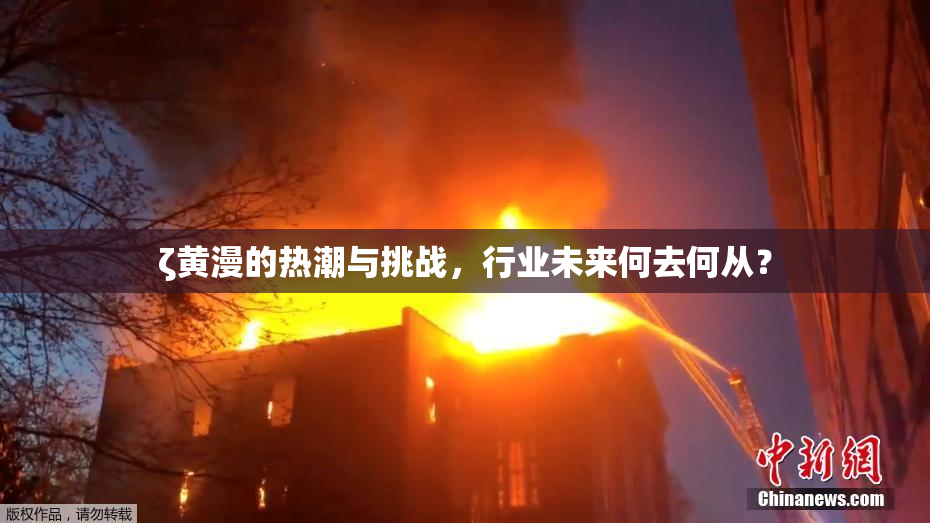 ζ黄漫的热潮与挑战，行业未来何去何从？