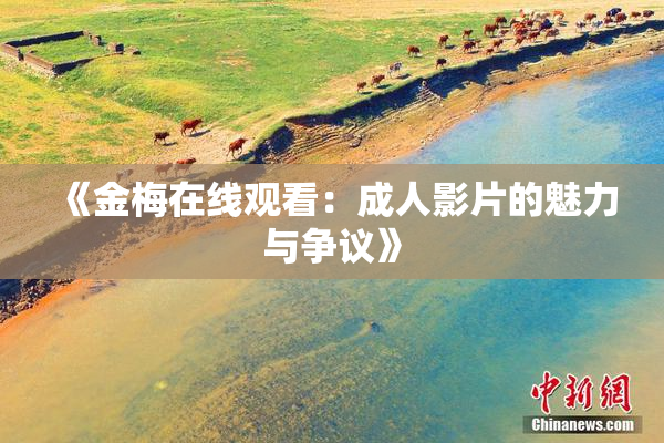 《金梅在线观看：成人影片的魅力与争议》