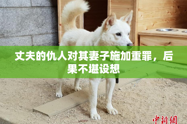 丈夫的仇人对其妻子施加重罪，后果不堪设想