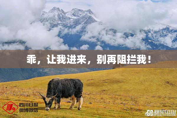 乖，让我进来，别再阻拦我！