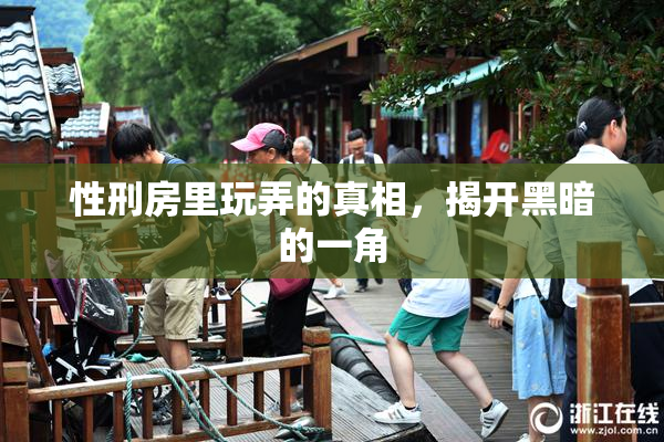 性刑房里玩弄的真相，揭开黑暗的一角