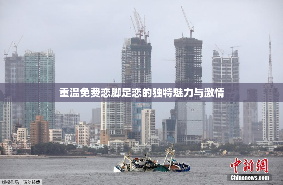 重温免费恋脚足恋的独特魅力与激情