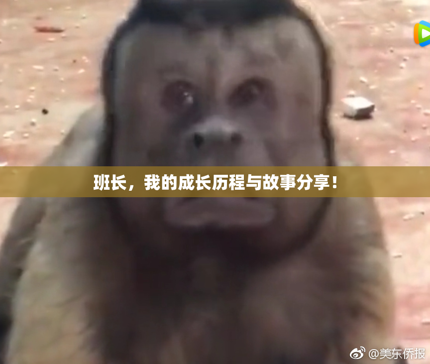 班长，我的成长历程与故事分享！