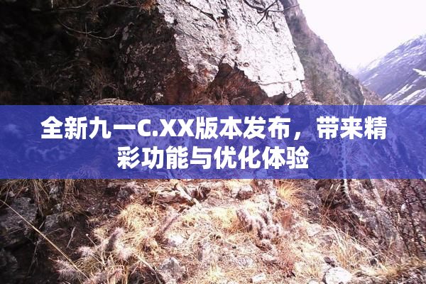 全新九一C.XX版本发布，带来精彩功能与优化体验