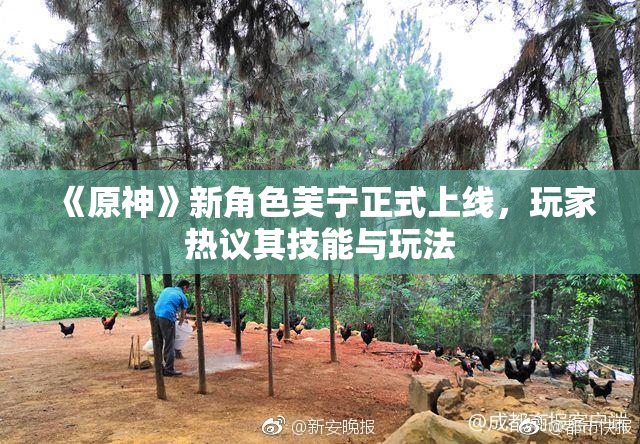 《原神》新角色芙宁正式上线，玩家热议其技能与玩法