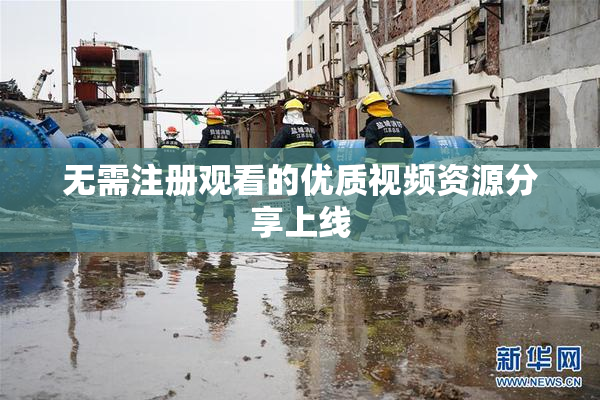 无需注册观看的优质视频资源分享上线