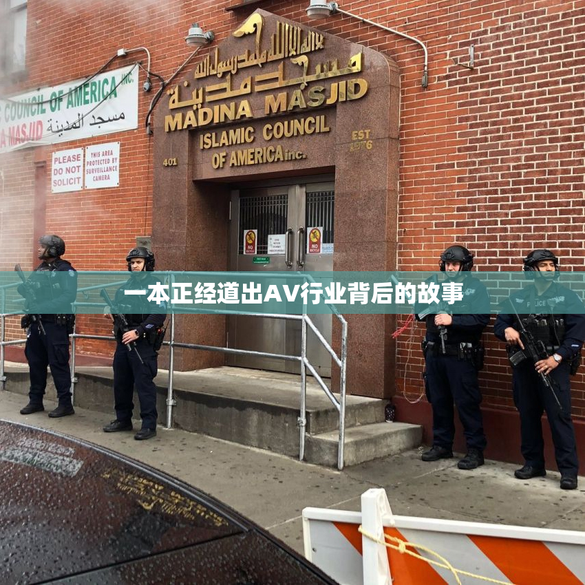 一本正经道出AV行业背后的故事