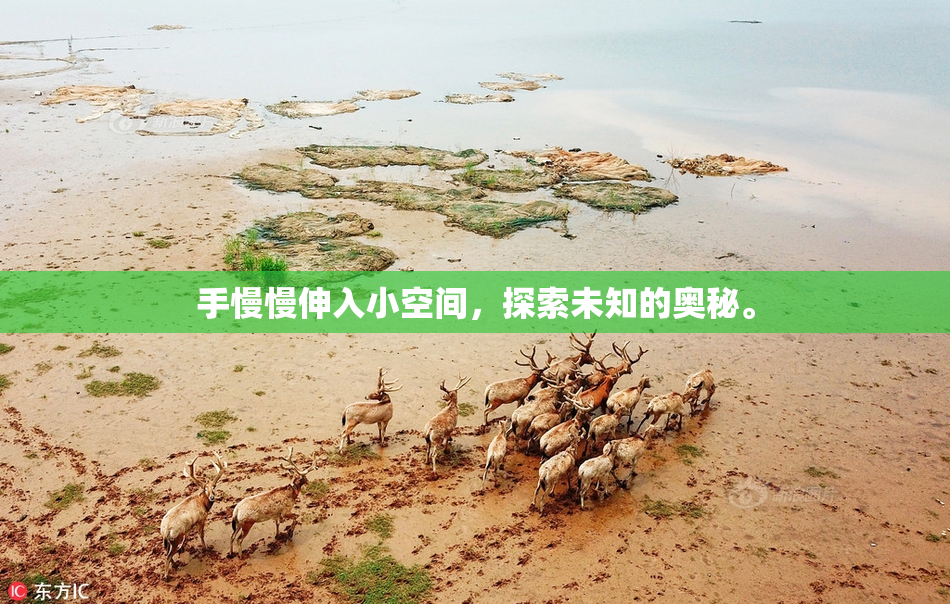 手慢慢伸入小空间，探索未知的奥秘。