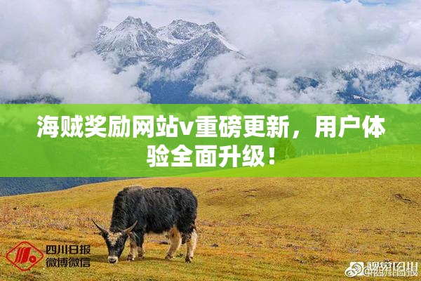 海贼奖励网站v重磅更新，用户体验全面升级！