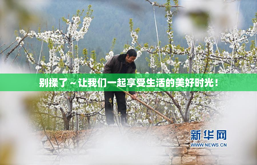 别揉了～让我们一起享受生活的美好时光！