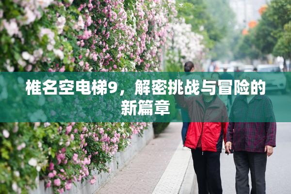 椎名空电梯9，解密挑战与冒险的新篇章