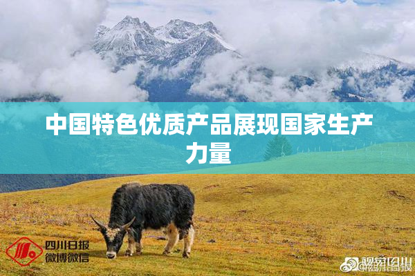 中国特色优质产品展现国家生产力量