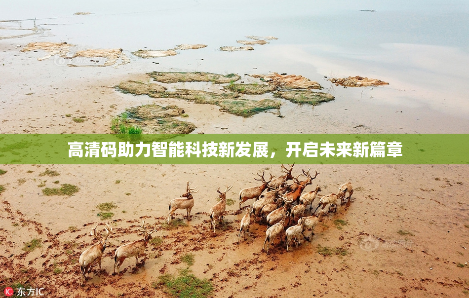 高清码助力智能科技新发展，开启未来新篇章