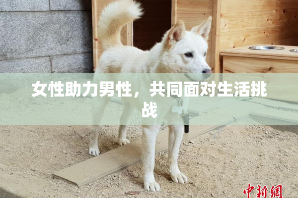 女性助力男性，共同面对生活挑战