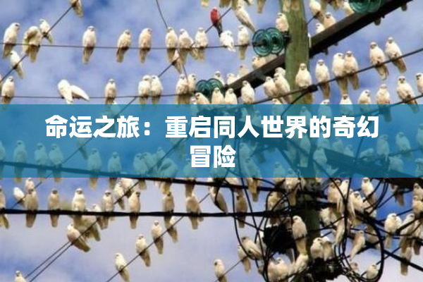 命运之旅：重启同人世界的奇幻冒险