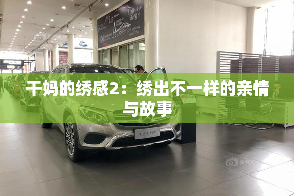 干妈的绣感2：绣出不一样的亲情与故事