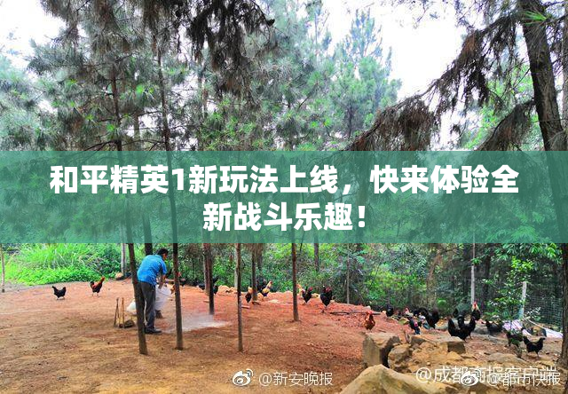 和平精英1新玩法上线，快来体验全新战斗乐趣！