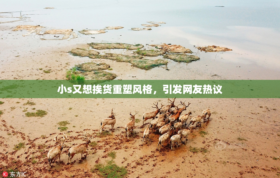 小s又想挨货重塑风格，引发网友热议