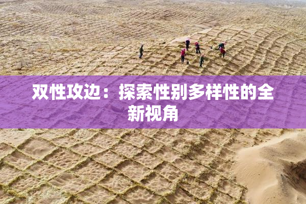 双性攻边：探索性别多样性的全新视角