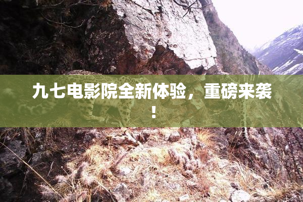 九七电影院全新体验，重磅来袭！