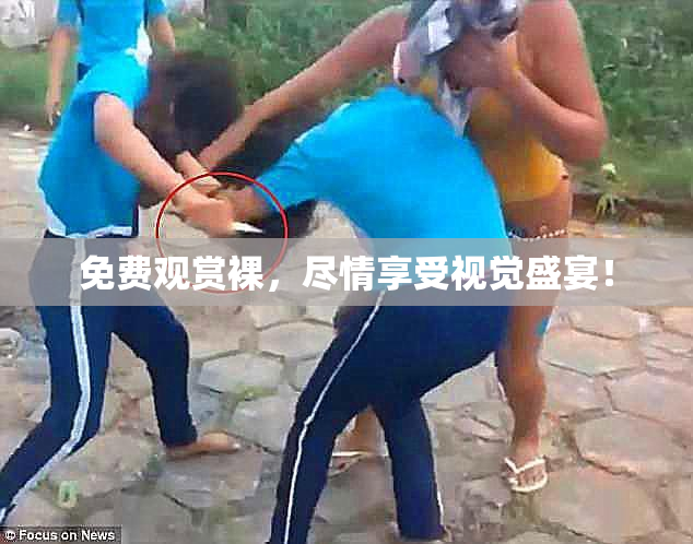 免费观赏裸，尽情享受视觉盛宴！