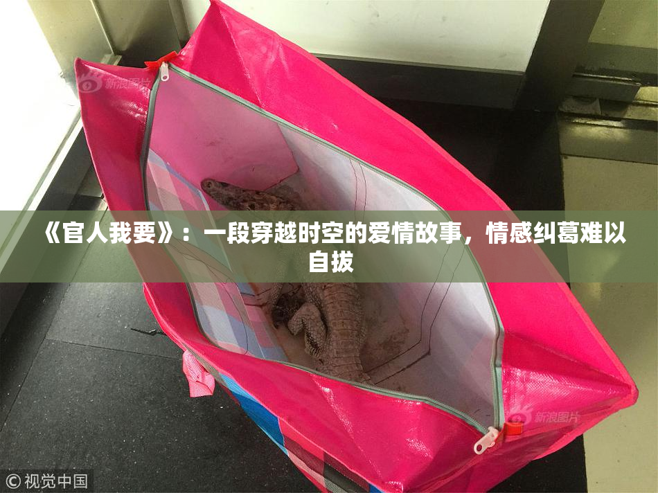 《官人我要》：一段穿越时空的爱情故事，情感纠葛难以自拔