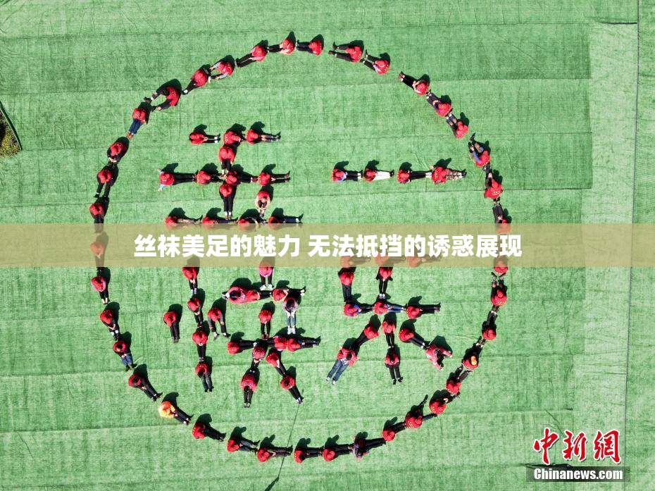 丝袜美足的魅力 无法抵挡的诱惑展现