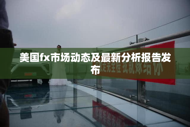 美国fx市场动态及最新分析报告发布