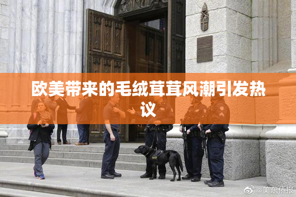 欧美带来的毛绒茸茸风潮引发热议