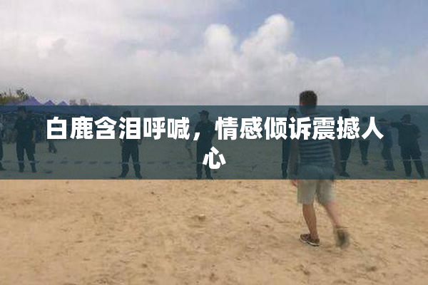 白鹿含泪呼喊，情感倾诉震撼人心