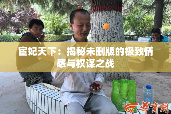 宦妃天下：揭秘未删版的极致情感与权谋之战