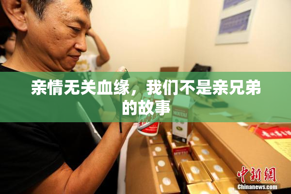 亲情无关血缘，我们不是亲兄弟的故事
