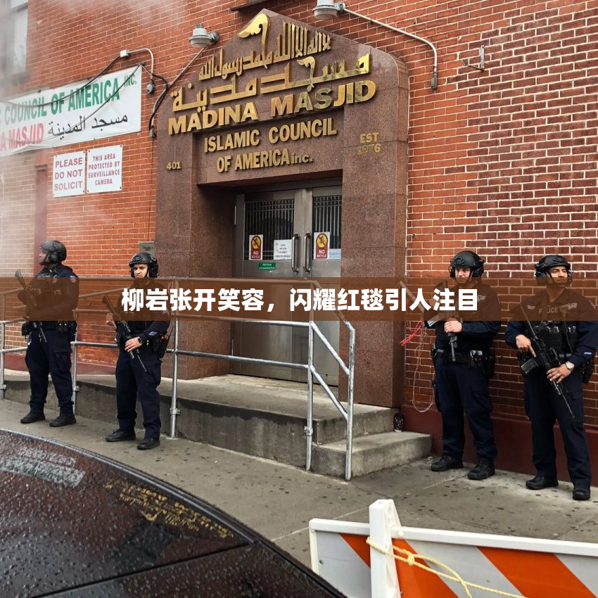 柳岩张开笑容，闪耀红毯引人注目
