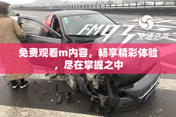 免费观看m内容，畅享精彩体验，尽在掌握之中