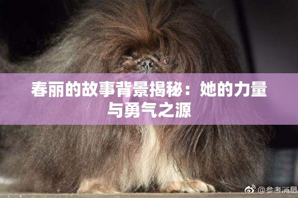 春丽的故事背景揭秘：她的力量与勇气之源