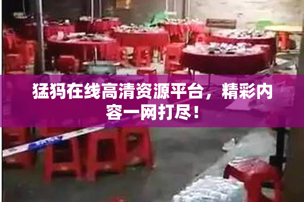 猛犸在线高清资源平台，精彩内容一网打尽！