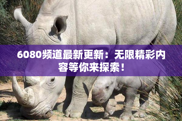 6080频道最新更新：无限精彩内容等你来探索！