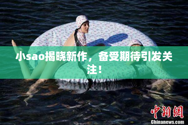小sao揭晓新作，备受期待引发关注！