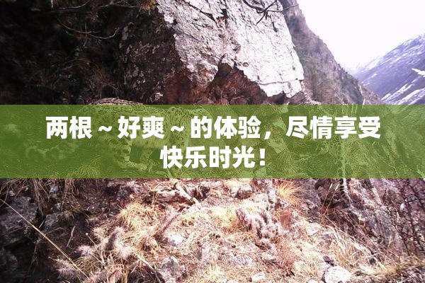 两根～好爽～的体验，尽情享受快乐时光！