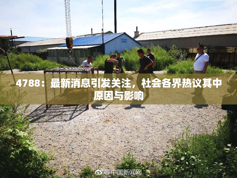 4788：最新消息引发关注，社会各界热议其中原因与影响