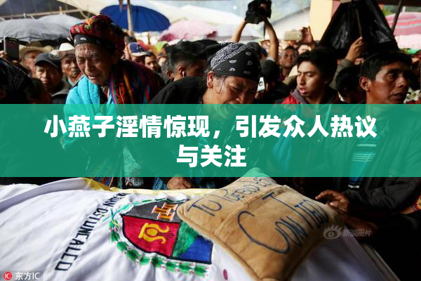 小燕子淫情惊现，引发众人热议与关注