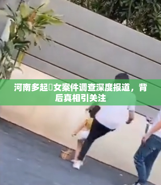 河南多起婬女案件调查深度报道，背后真相引关注